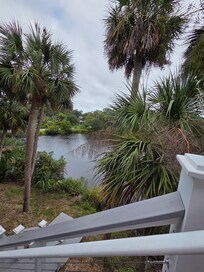 View from back steps/porch