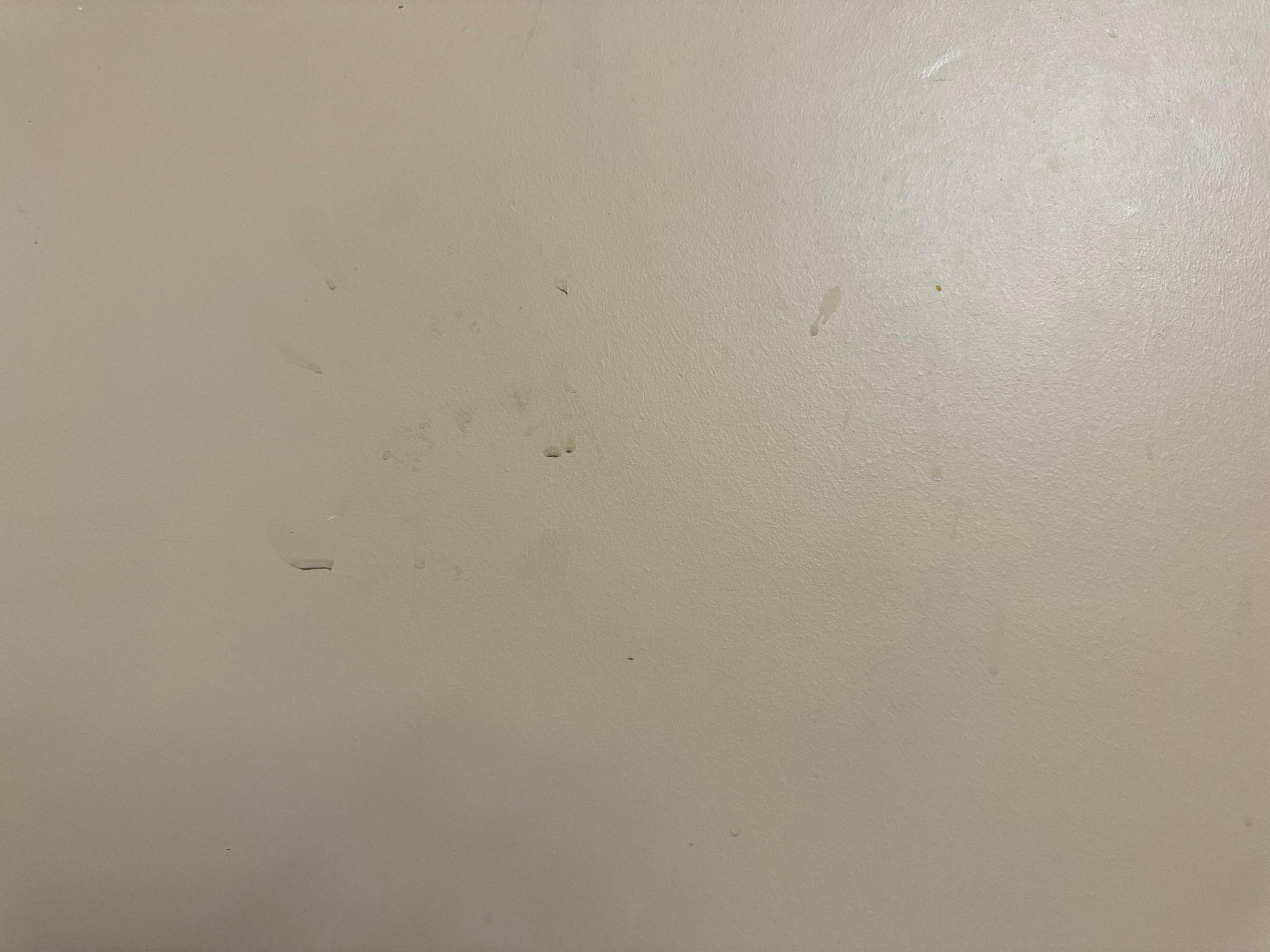 Above the tub. Dirty hand prints on the wall.