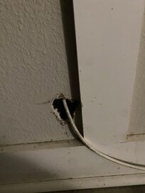 This whole had a wire going through some dead some did not