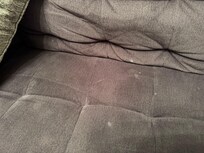 Couch stains