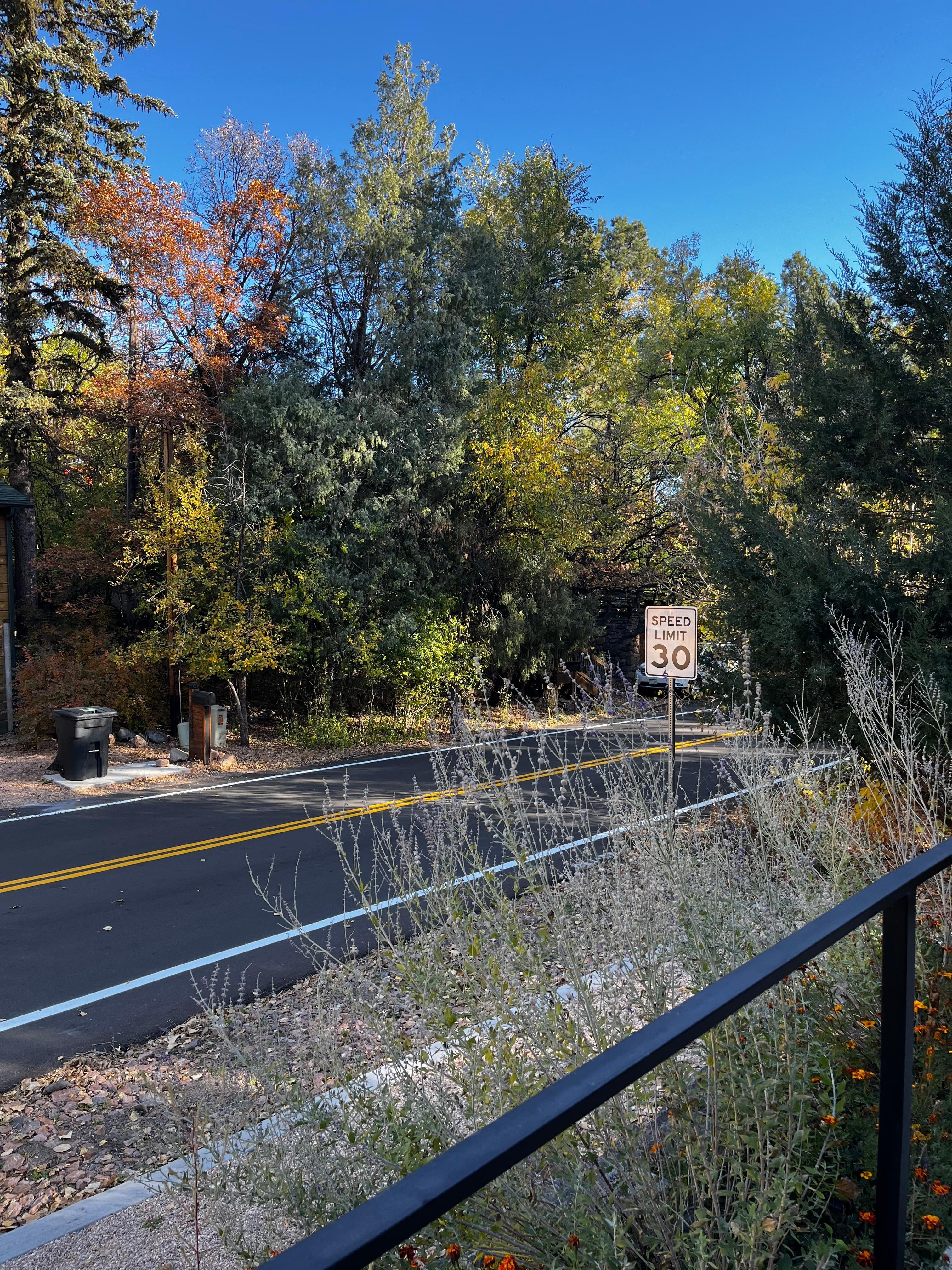 The neighborhood is quiet and secluded but not remote - perfect!