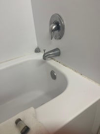 Mold in bathtub