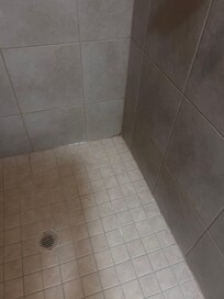 Dirty/moldy shower
