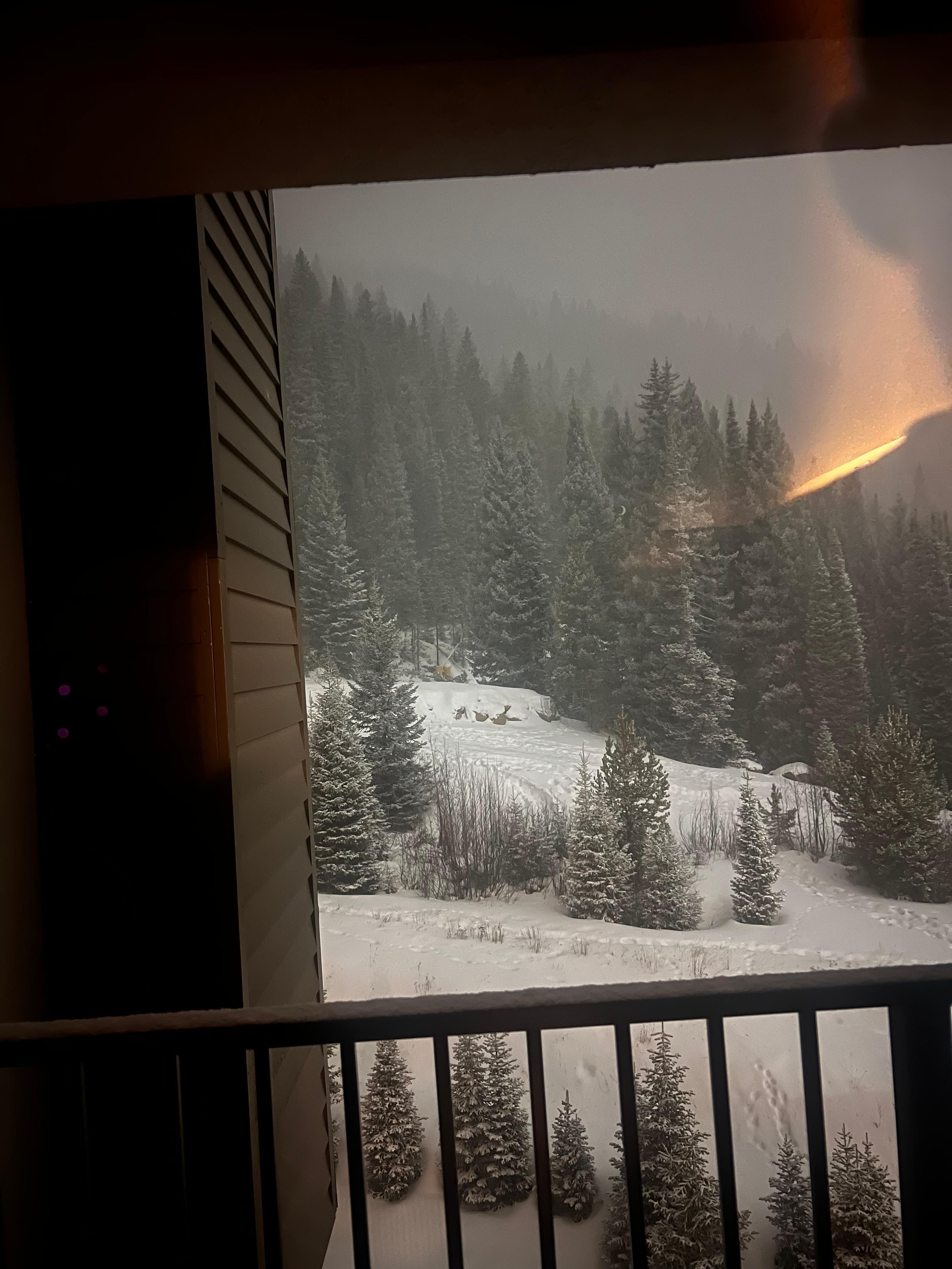 View from balcony of condo 