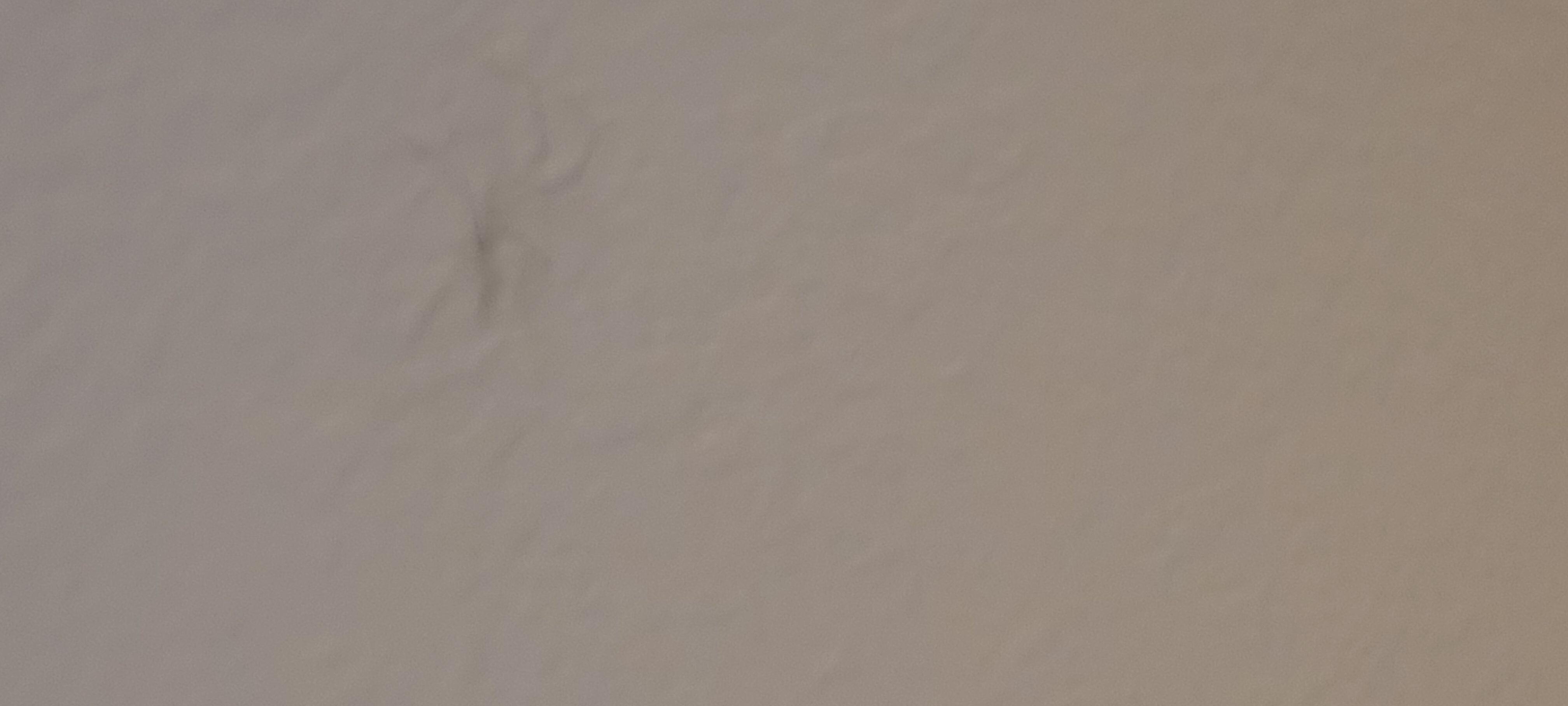 Spiders everywhere 