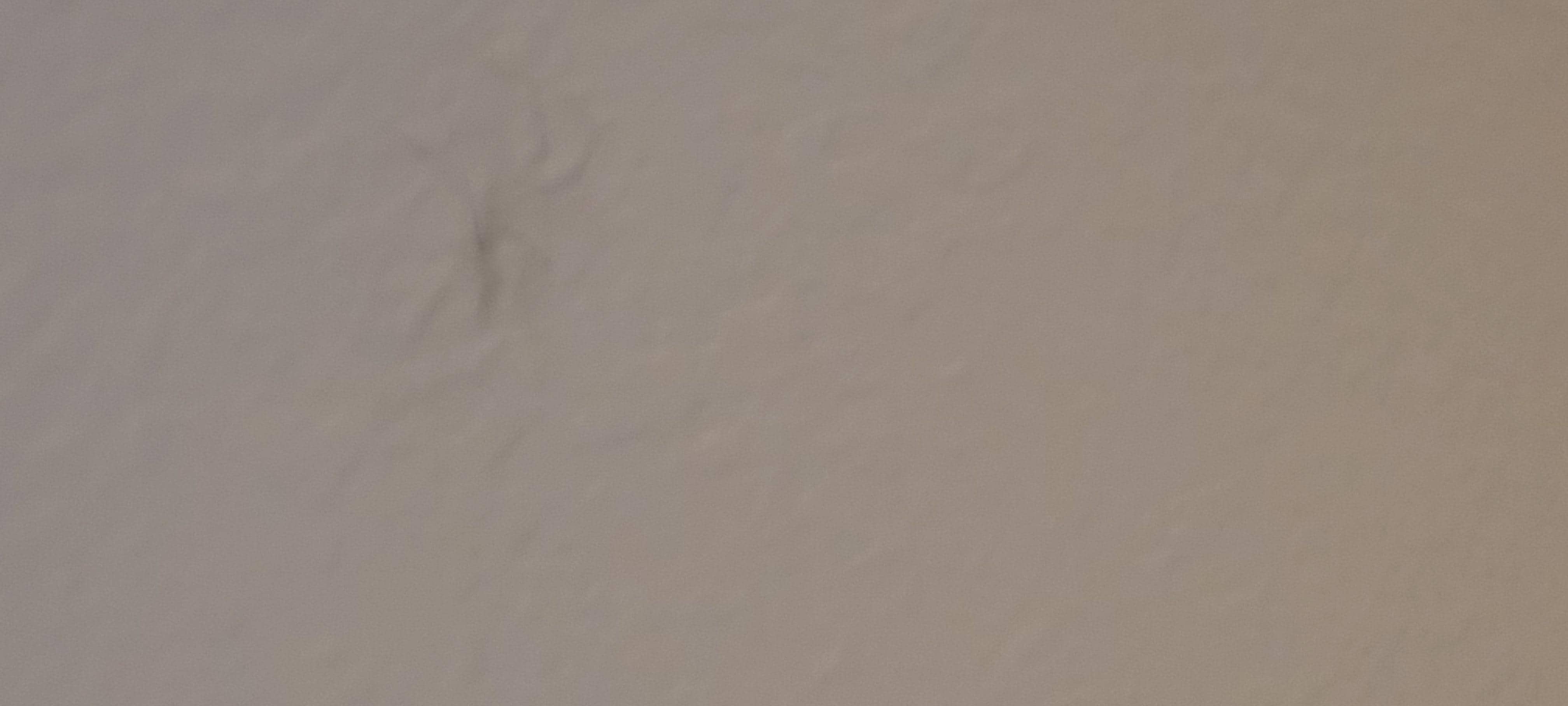 Spiders everywhere