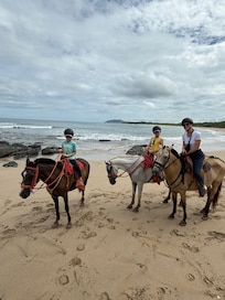 Horseback riding nearby