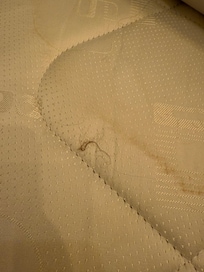 Clump of hair (among many) on the mattress