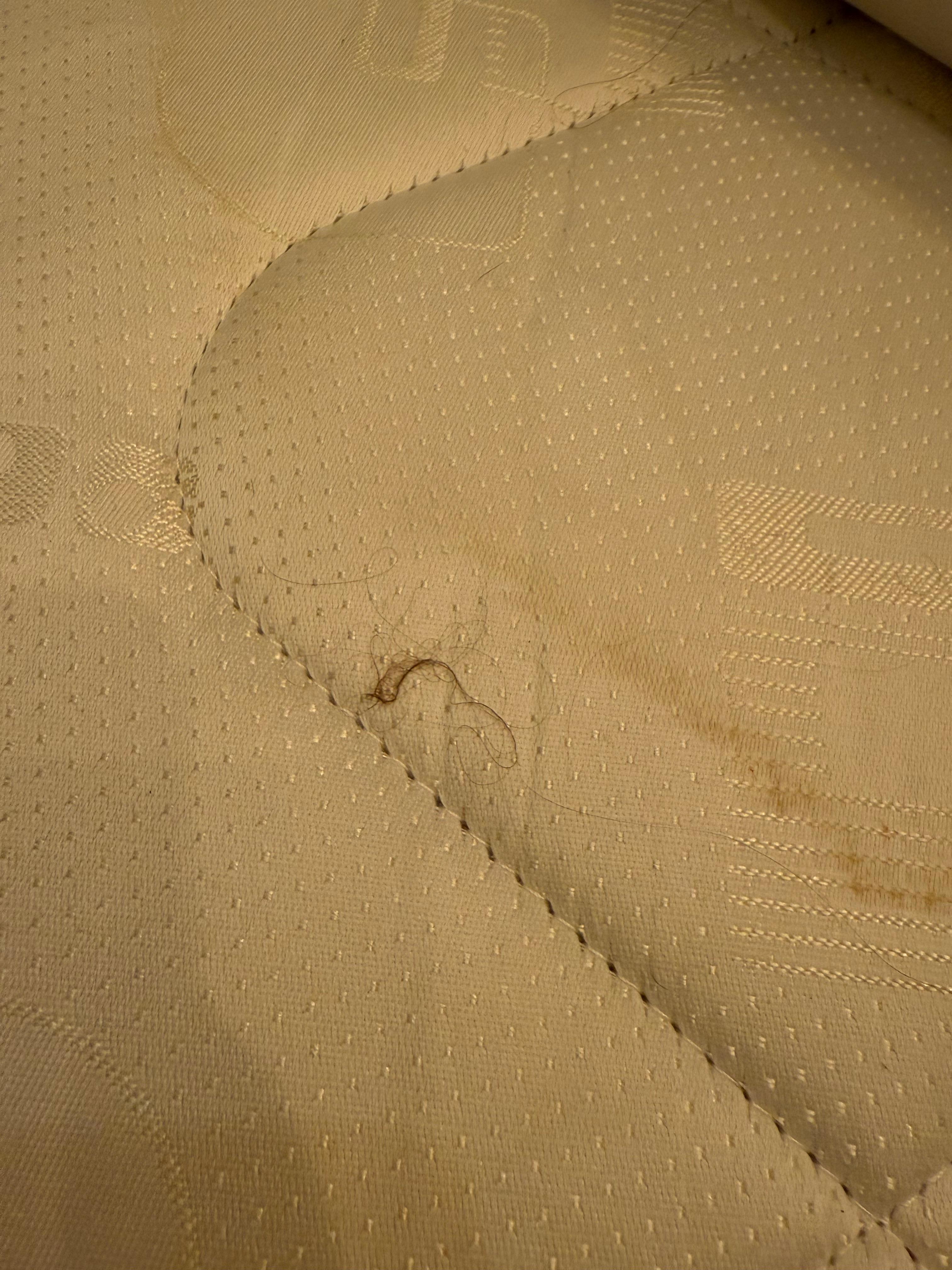 Clump of hair (among many) on the mattress