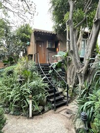 L'appartement loué, en haut de l'escalier. Dessous, il y avait des perroquets!