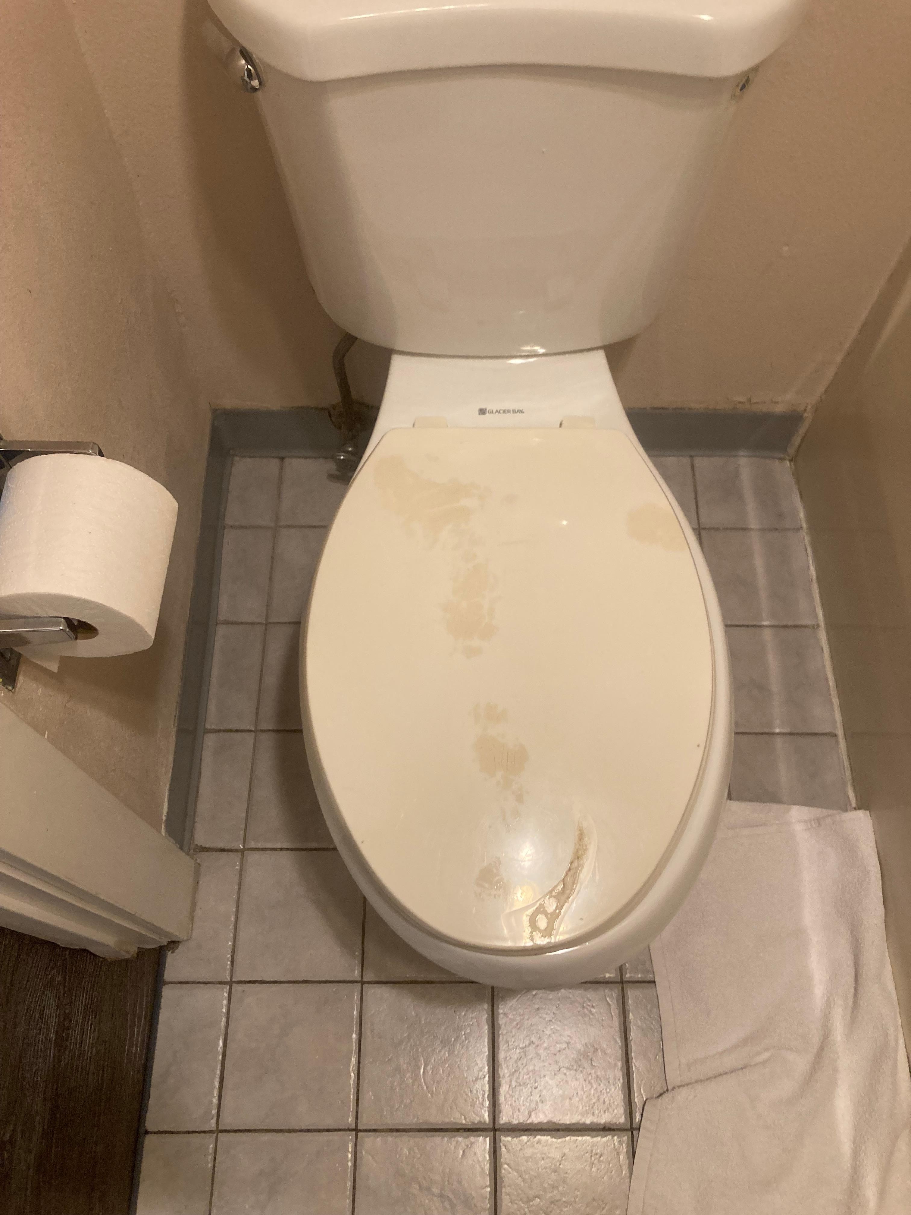 Gross toilet seat