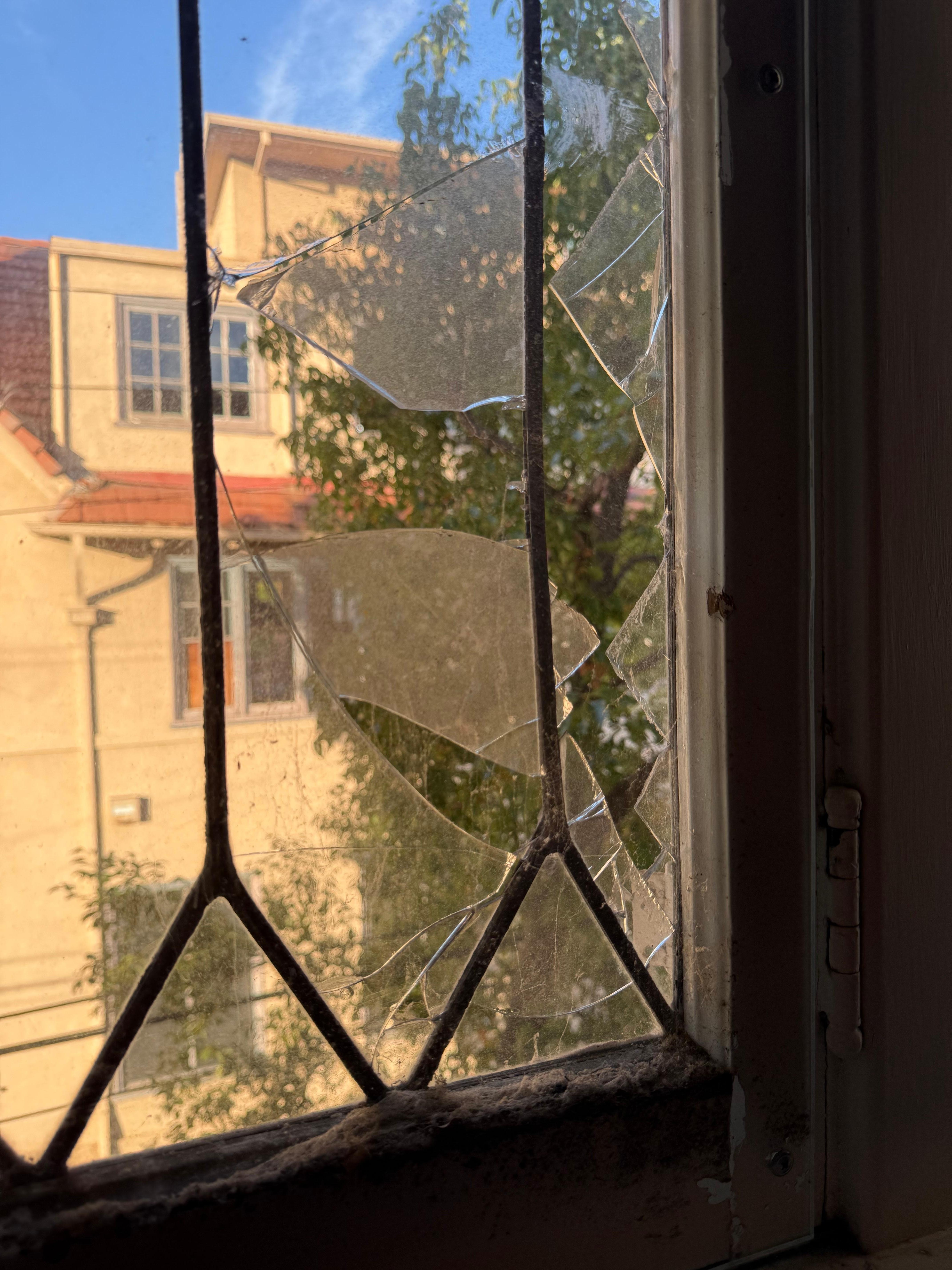 Instead of replacing the window, they just screwed a bit of perspec on the insides some time ago where the bugs all nested at the bottom 