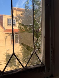 Instead of replacing the window, they just screwed a bit of perspec on the insides some time ago where the bugs all nested at the bottom