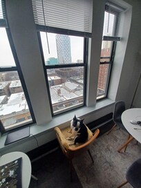 Our Boston Terrier enjoyed his stay as well!