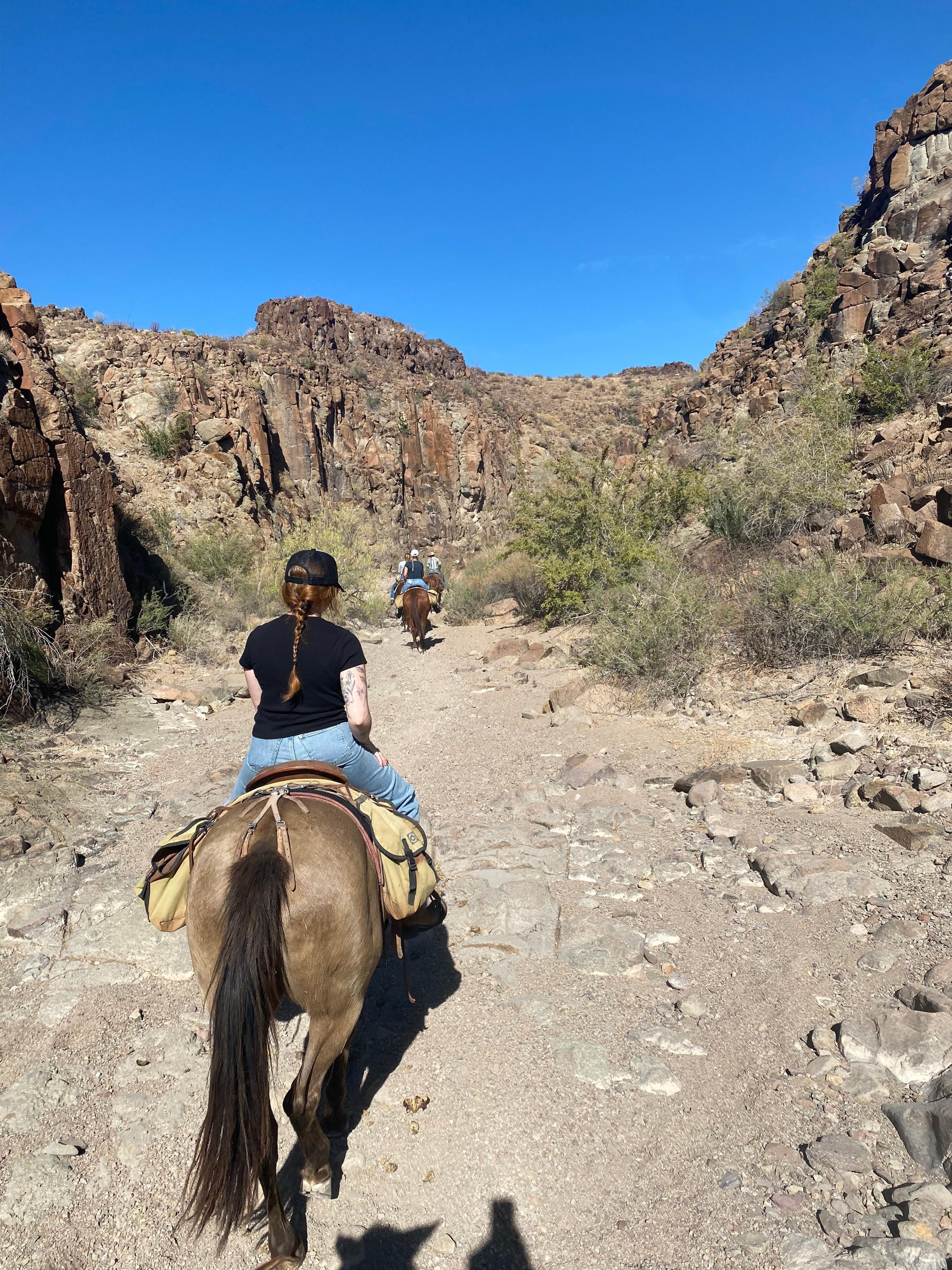 Horseback riding at big bend state park. 