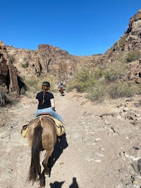 Horseback riding at big bend state park.