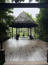 Meditation platform