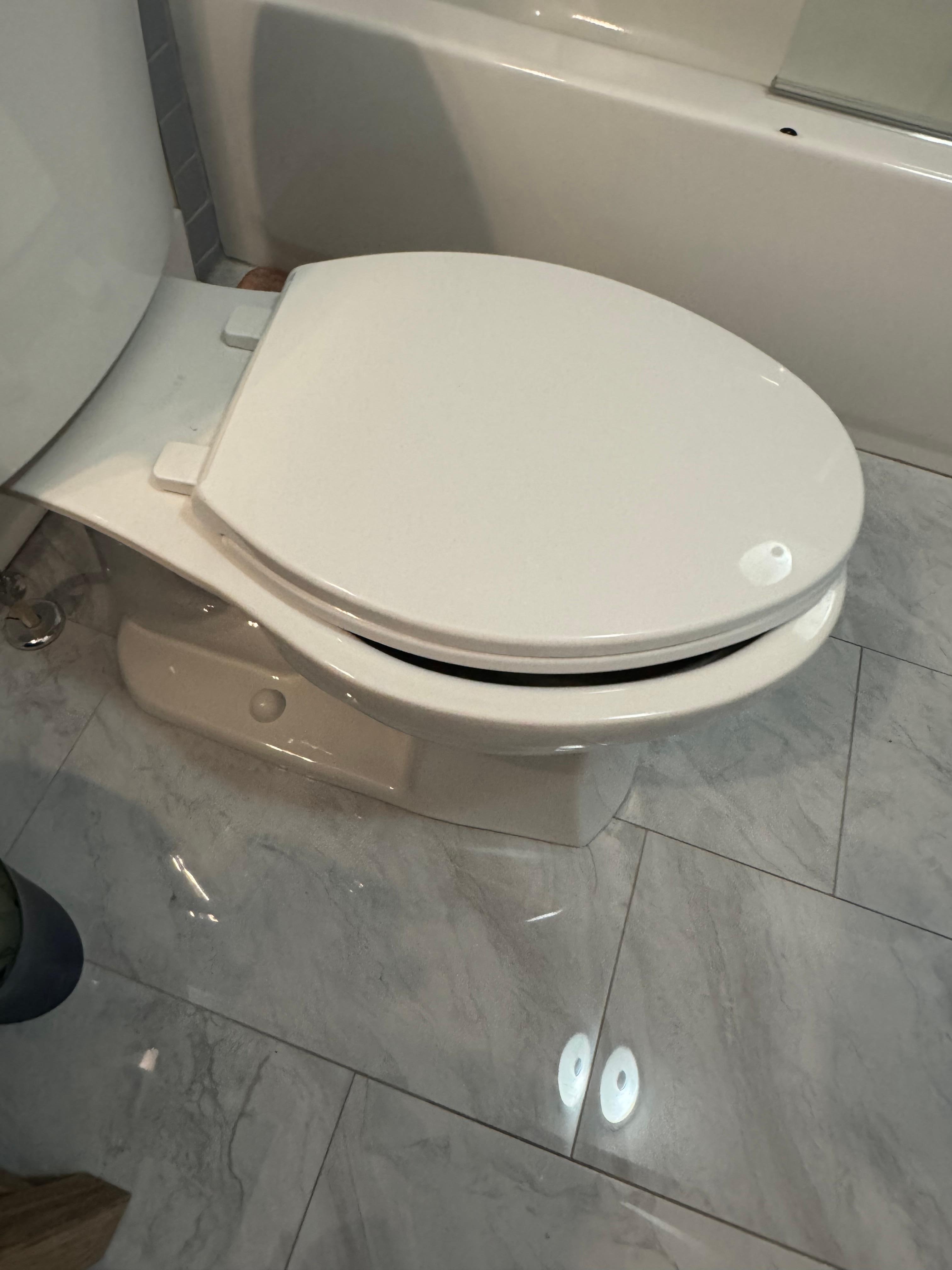 Loose toilet seat