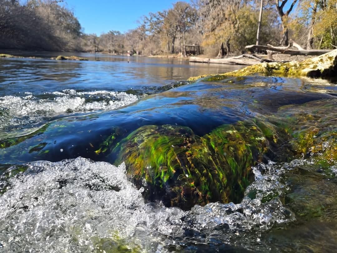 A spring up river on the Santa Fe. Only accessible by boat. Only visible in low water conditions 