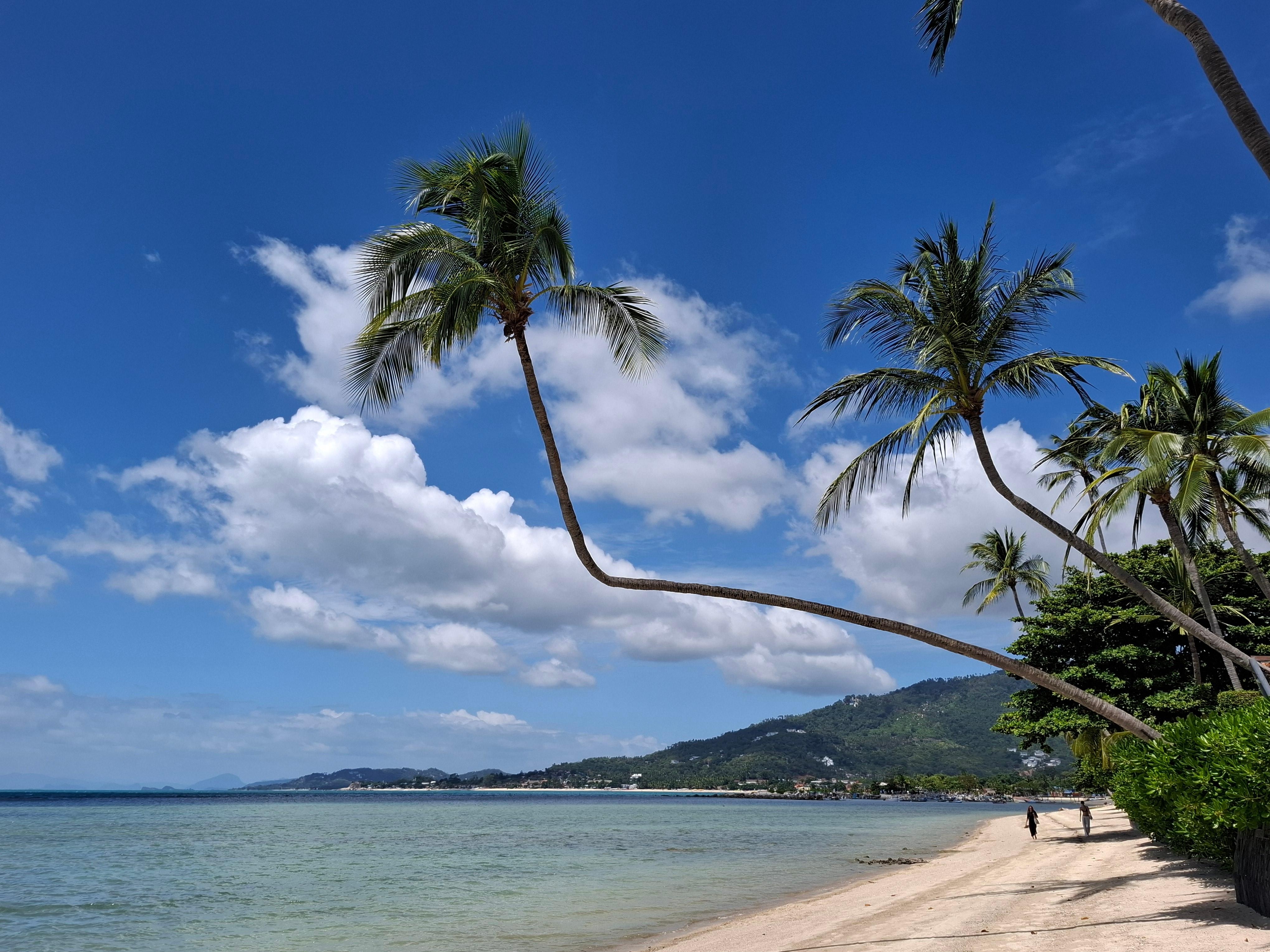 Accès Plage de l'hôtel 