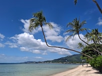 Accès Plage de l'hôtel