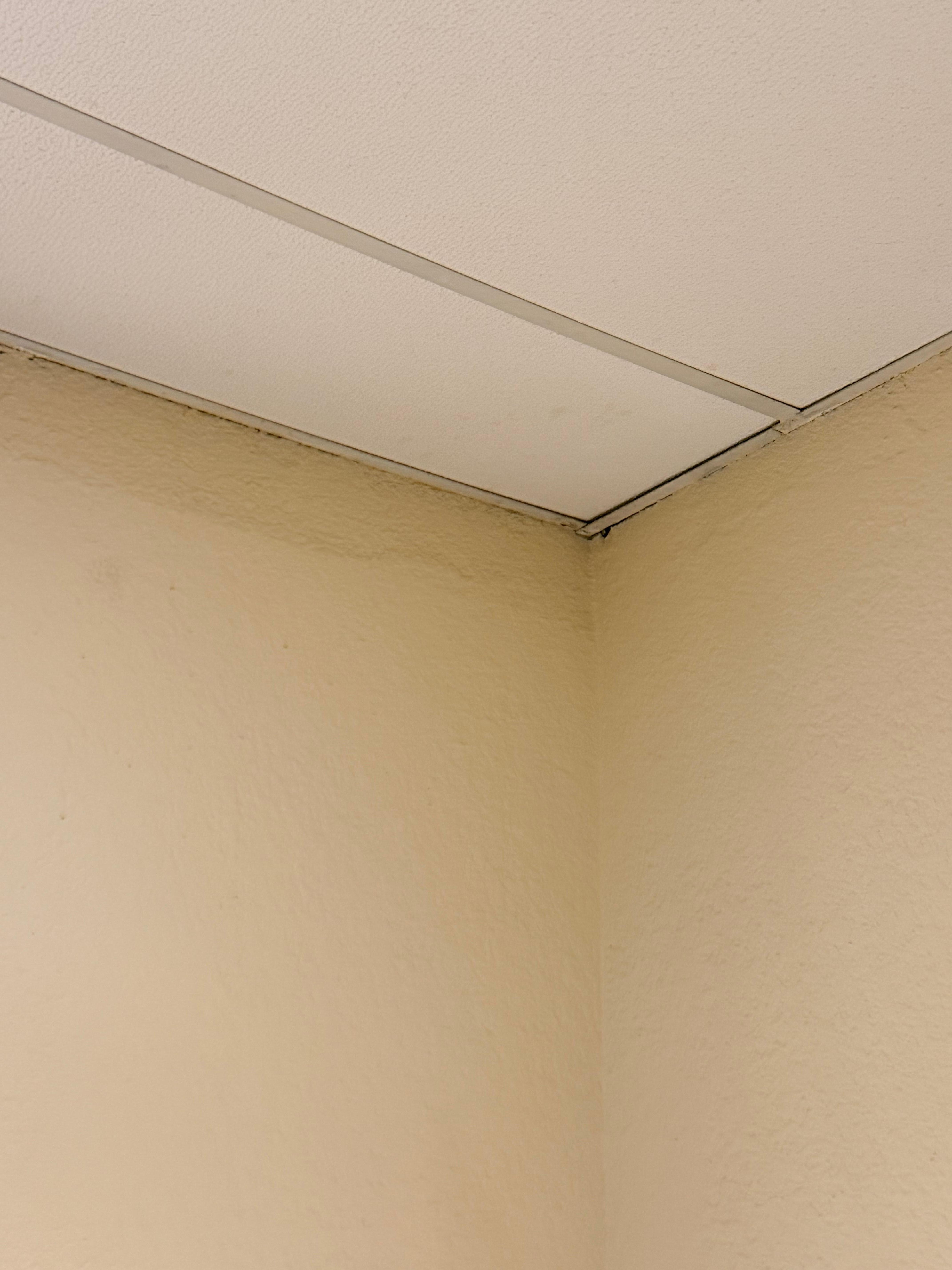 Lleno de humedad y encontré varios bichos 