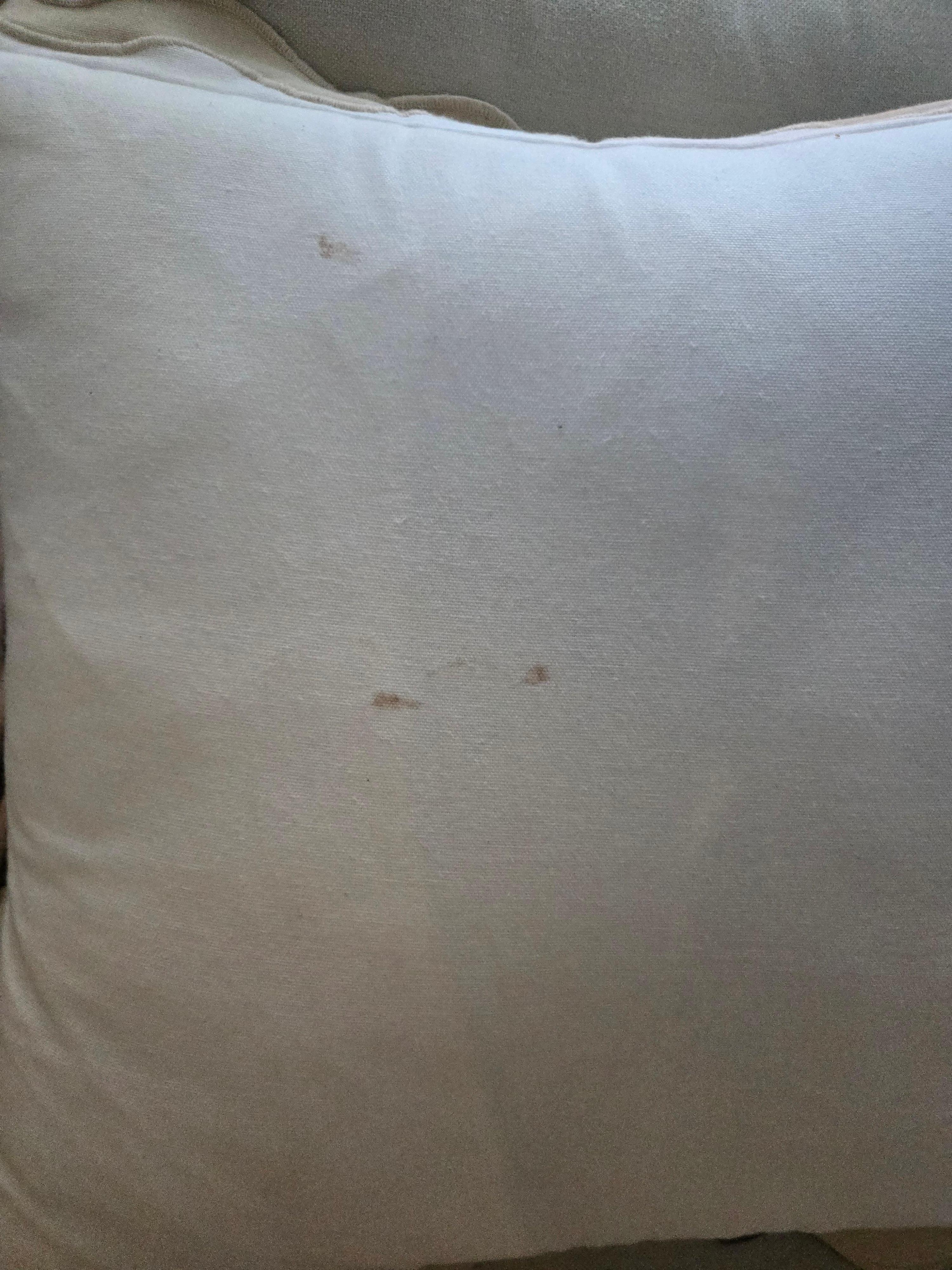 Couch and pillows need a deep clean