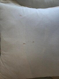 Couch and pillows need a deep clean
