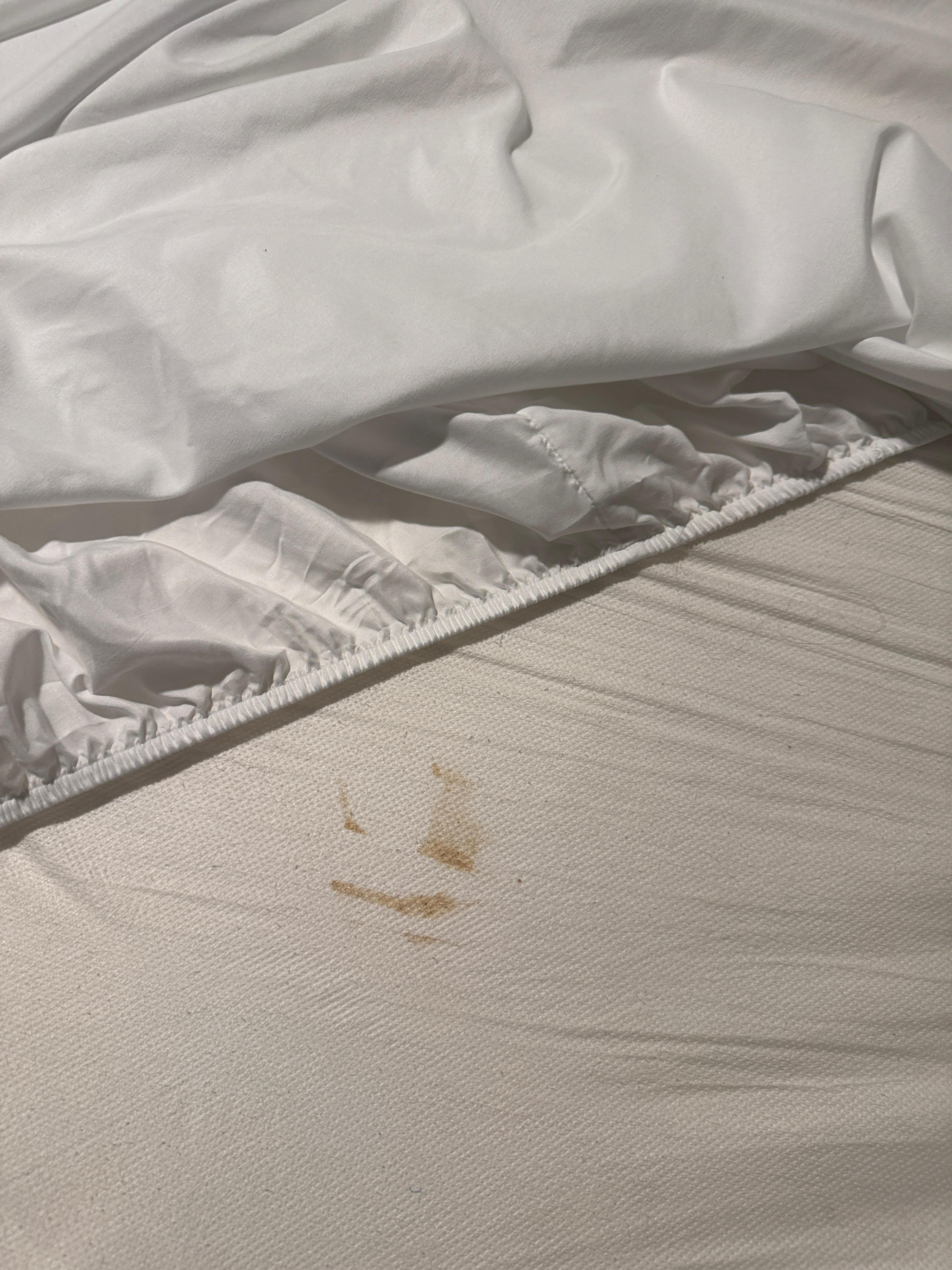 Filthy matress cover greeting.