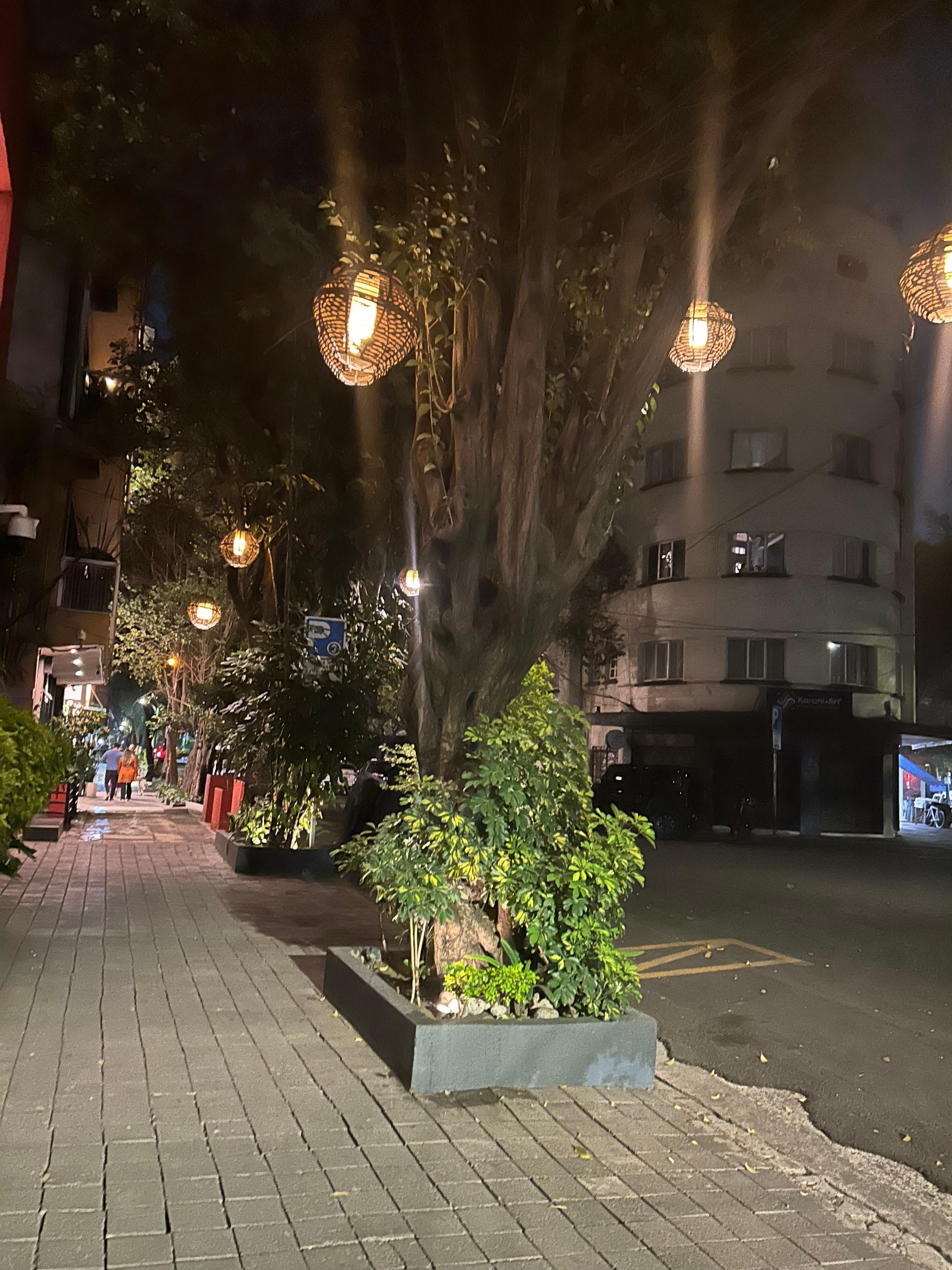 Outside of Casa Decu..