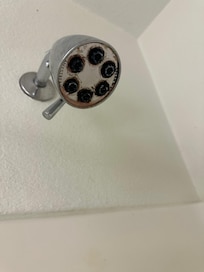 Mold growing on shower head.