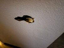 Hole in wall from bathroom door gandle