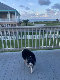 Coffee every morning listening to waves my favorite thing.