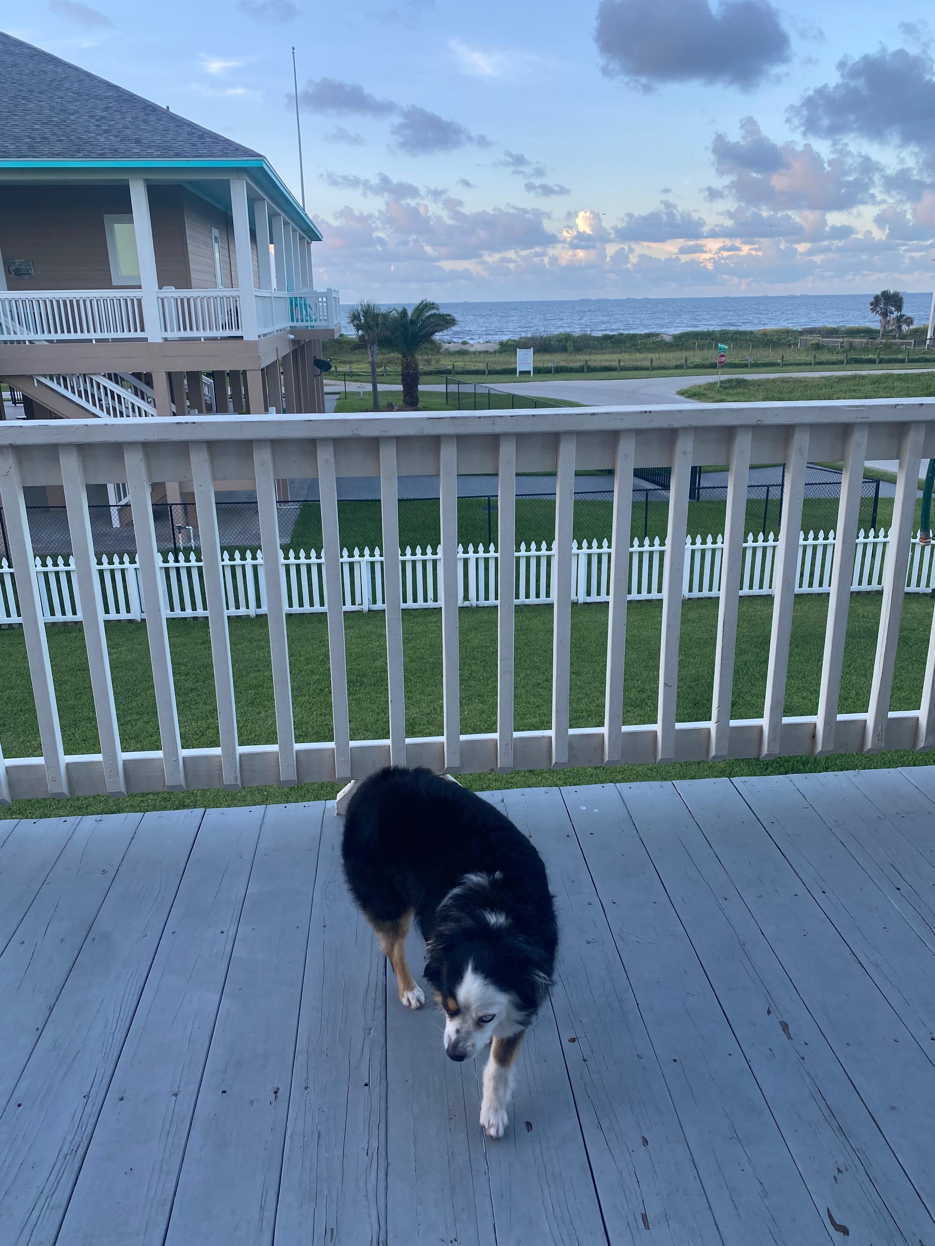 Coffee every morning listening to waves my favorite thing.   