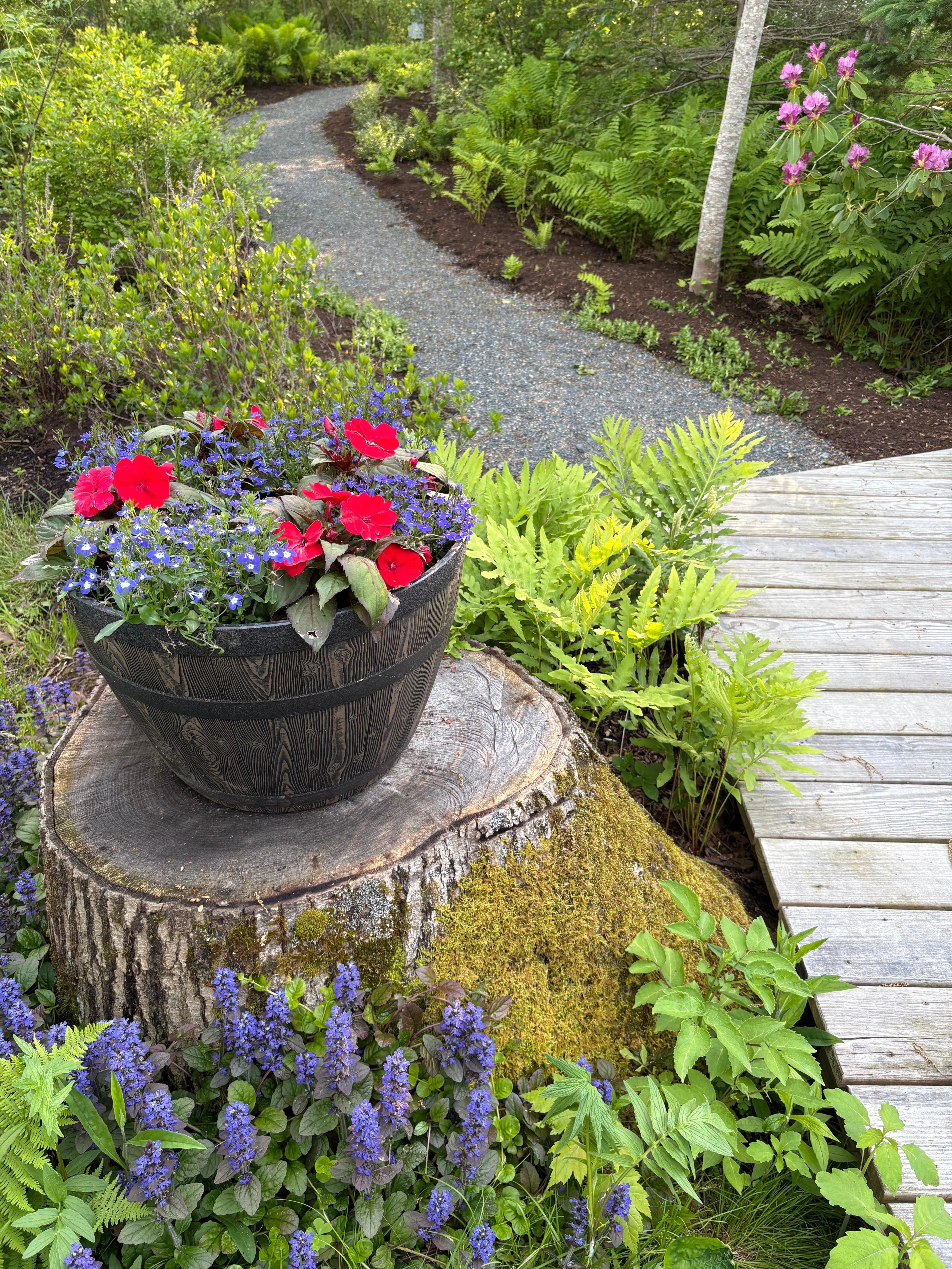 A welcoming entrance to the cottage 