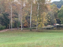 Turkey family near the pond