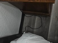 Insect and debris on master floor