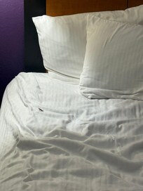 The bug that I found in the bed