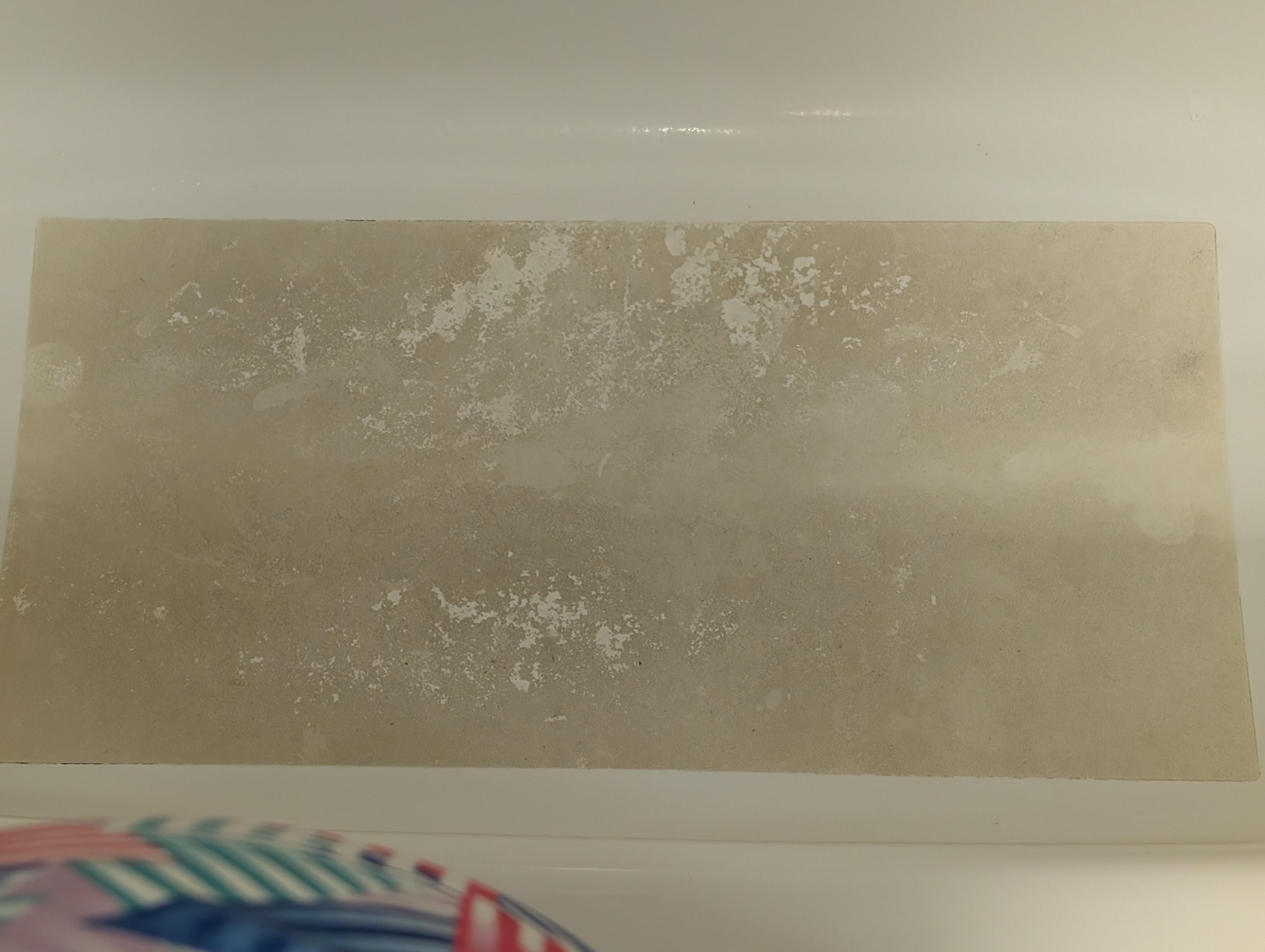 Slimy bathroom mat 🤢.