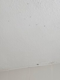 Mold on the ceiling