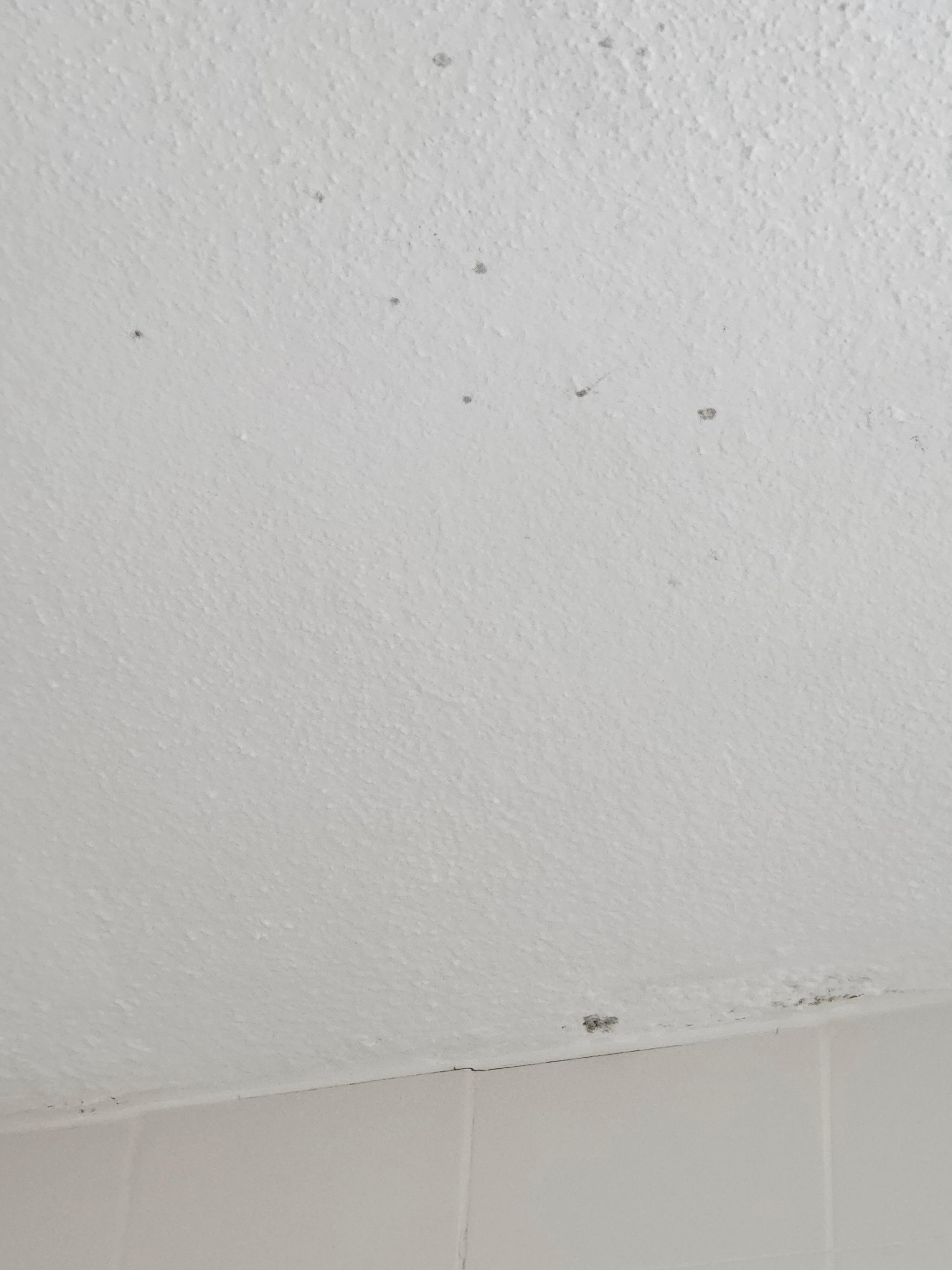 Mold on the ceiling