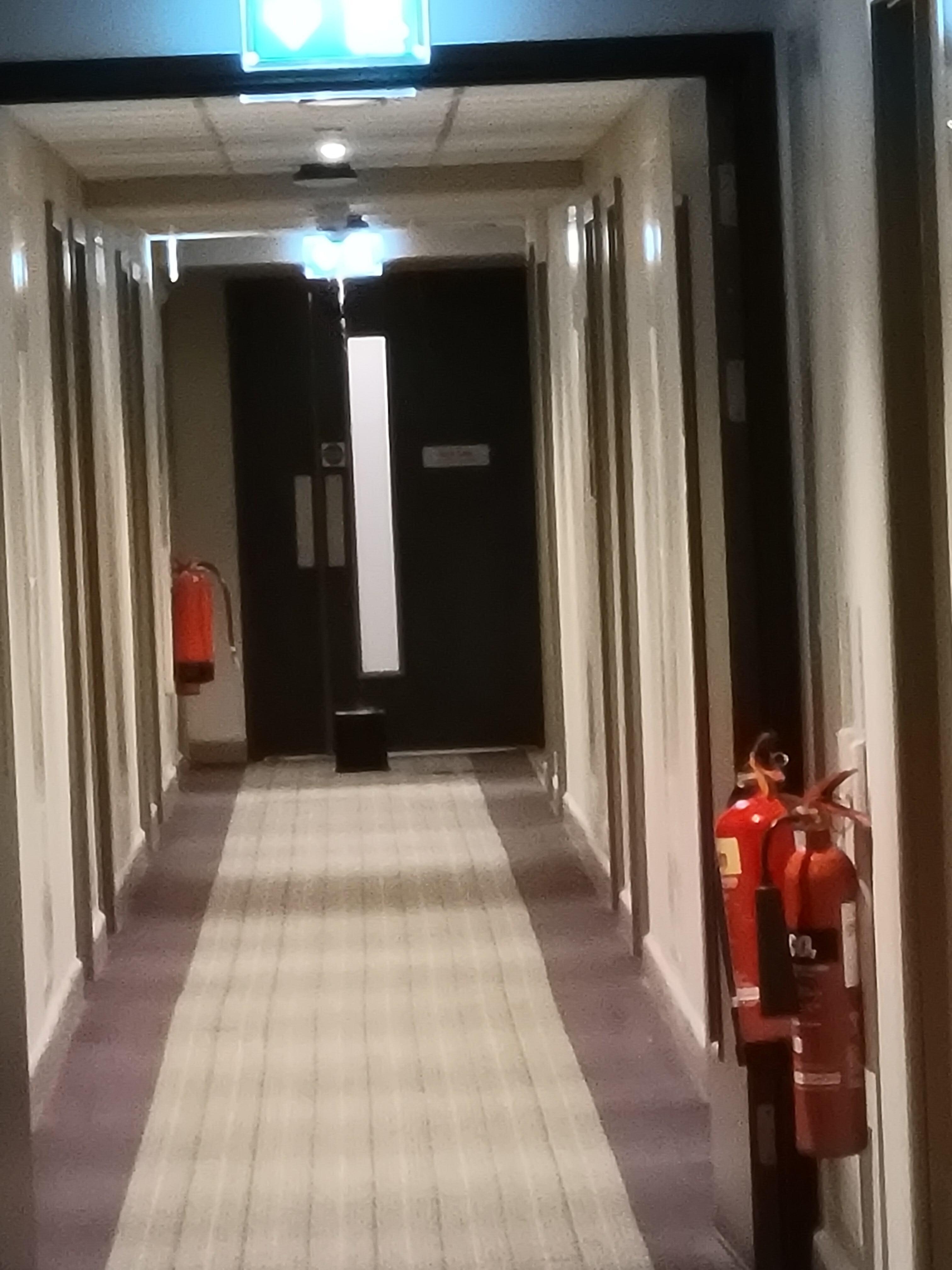 That's the bucket at the end of the hallway when the pipe leaked.