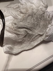 After asking management to have floors and bathroom cleaned. This is the paper towels that I dried the floor with in the first 3 pictures.shower f