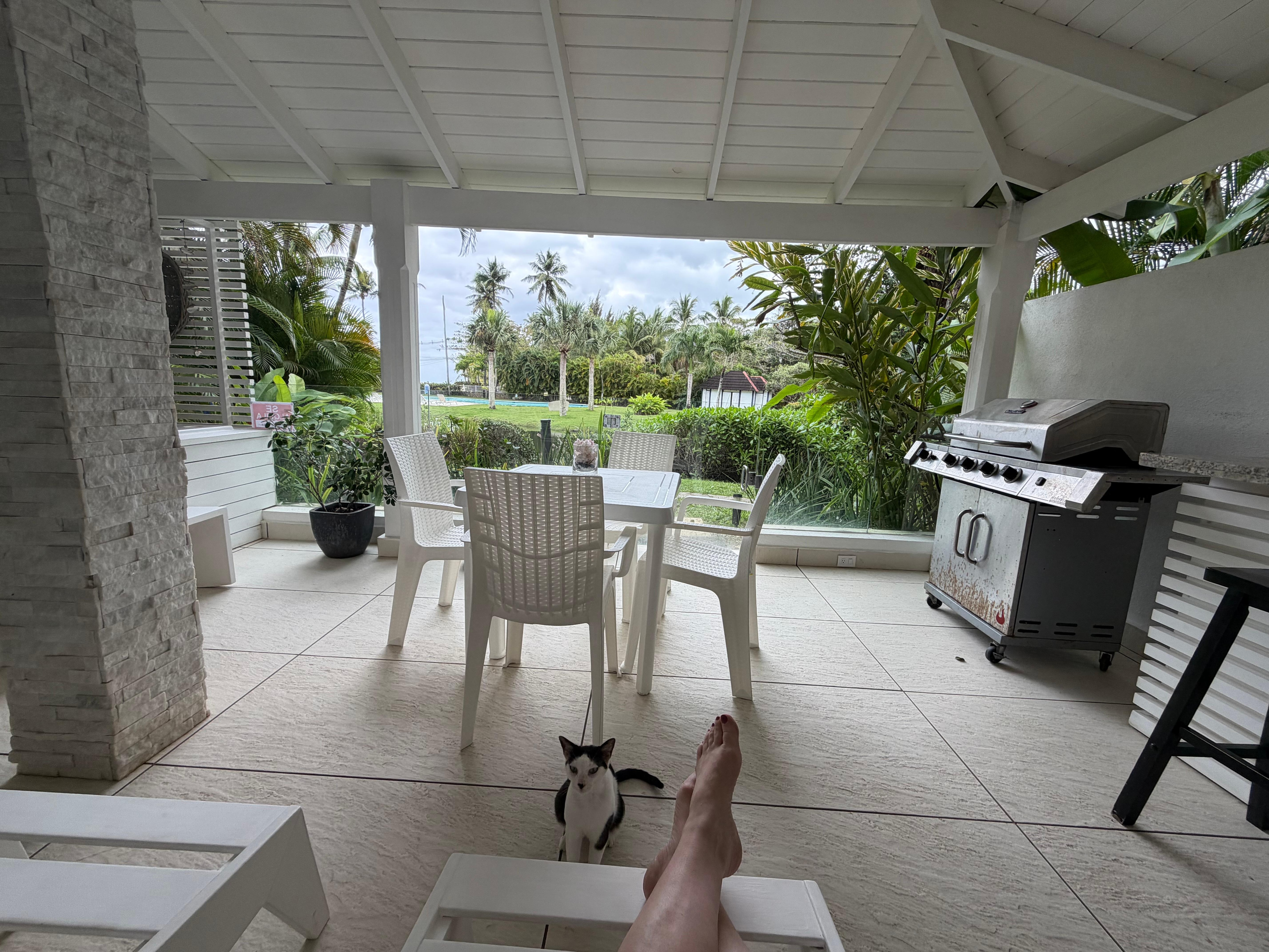 This condo comes with a cat. It was quite the surprise, but we took him in for our stay.