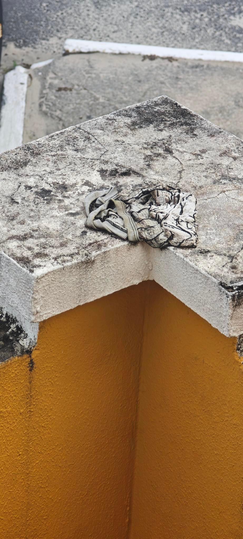 Dá para imaginar a quanto tempo essa cueca está em cima desse muro.... Que desleixo.....