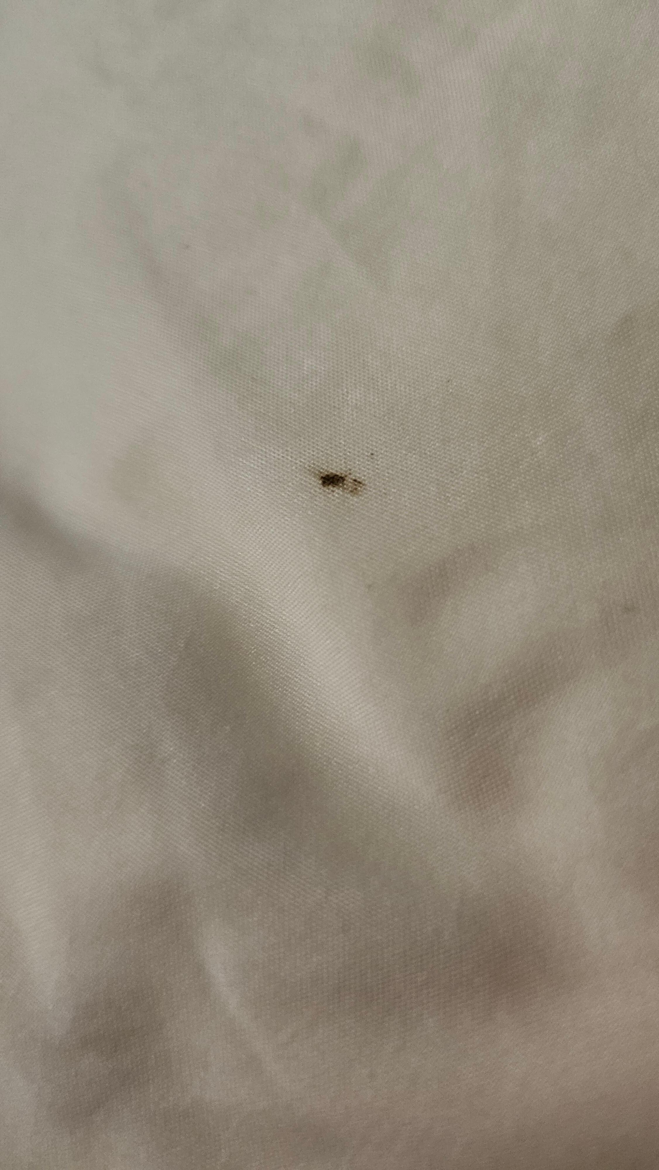 Dirty sheets.
