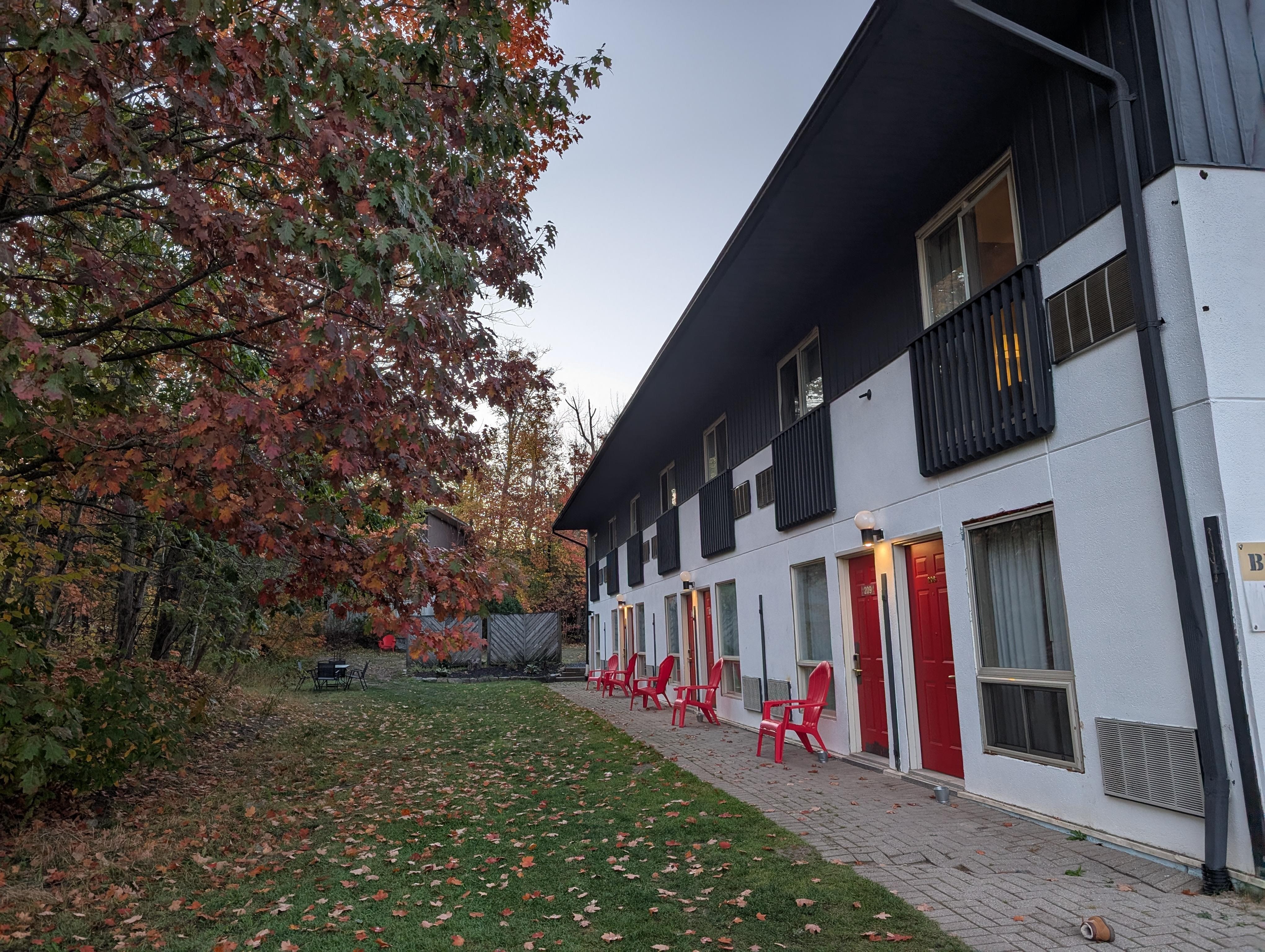 Forest-view motel rooms