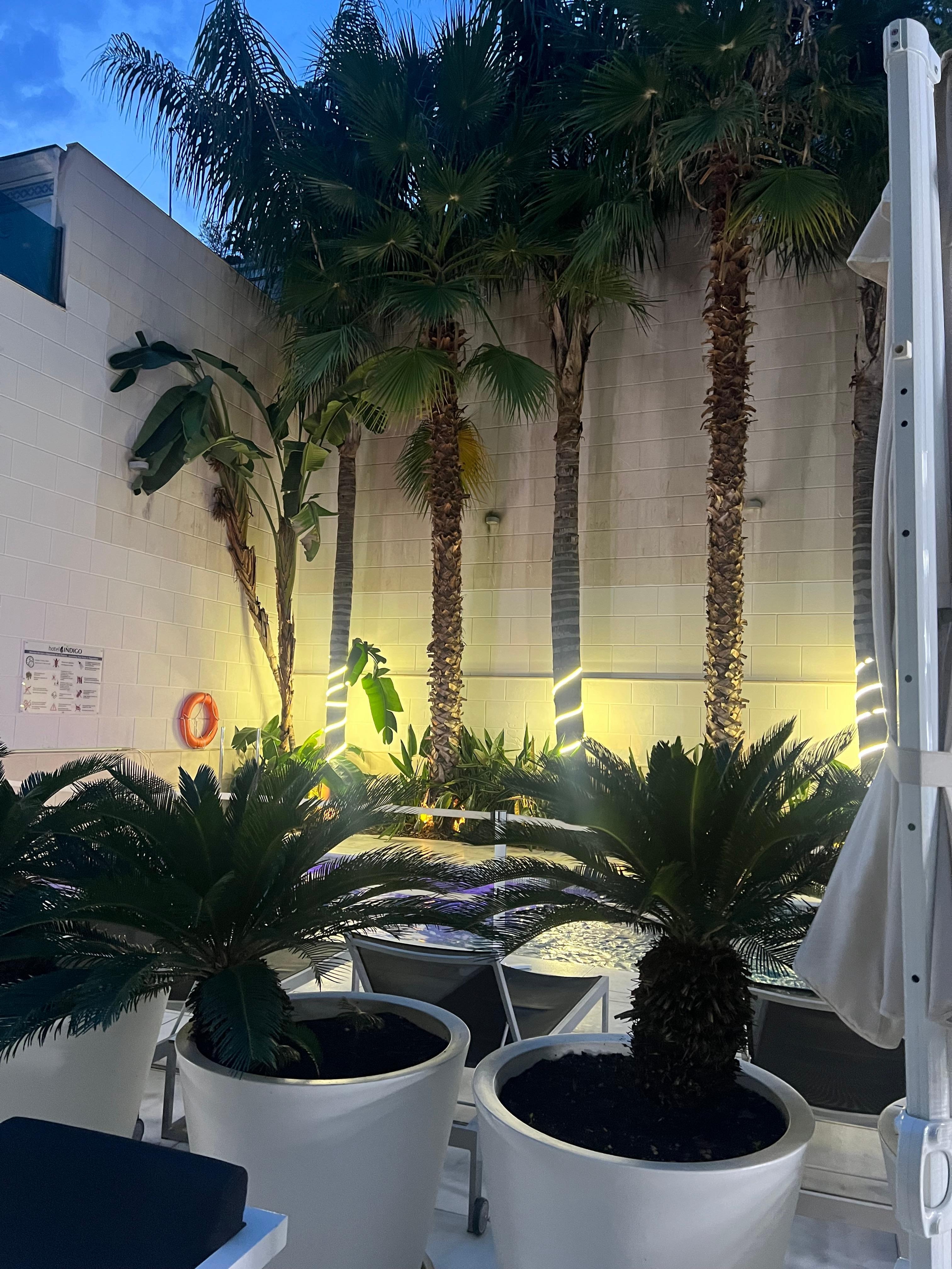 A little oasis in the middle of the city