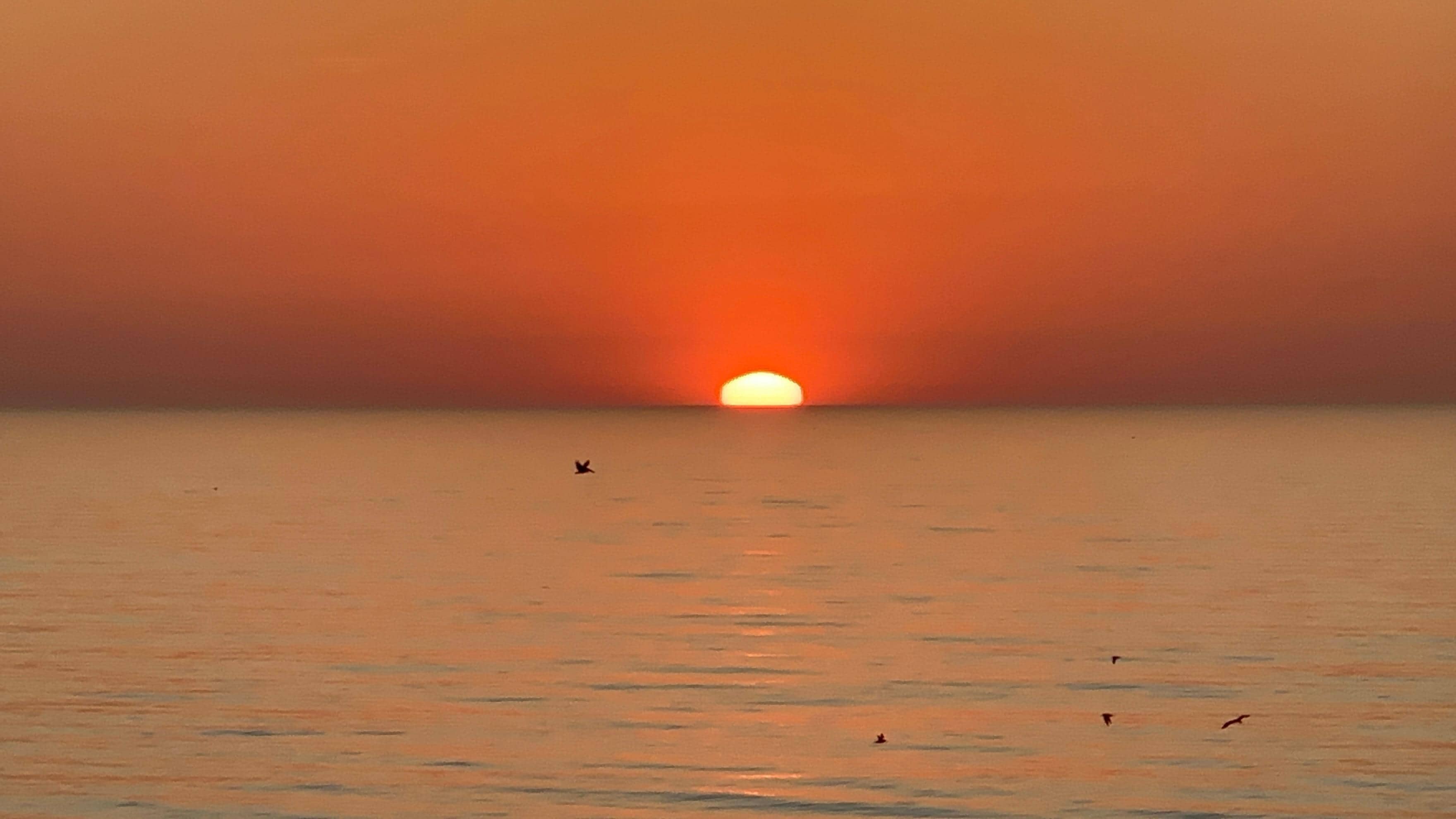 Sunrise from rooftop 