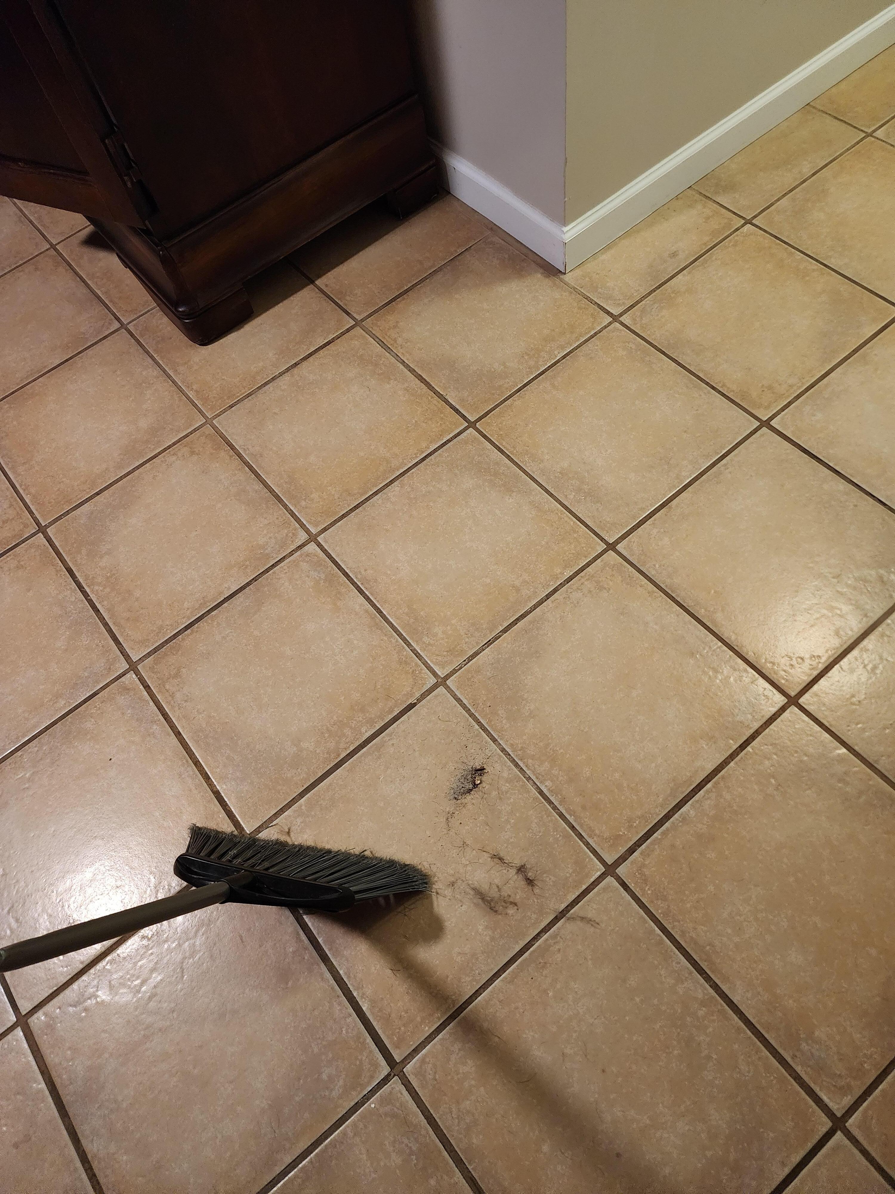 Dirt taken out from the master bedroom. I hadn't even cleaned the chair with carpet it had lot of pet hair. 